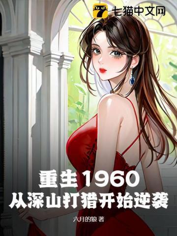 别惹恶人电视剧免费观看