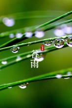 白头到老文集