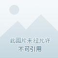 影帝孙悟空
