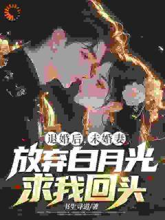 柳如烟苏尘