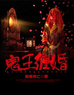 一品姐夫精校