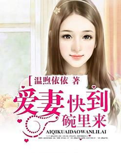 一品姐夫大结局